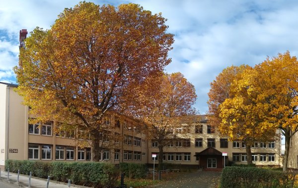 Foto: Bäume im Osthof der Schule